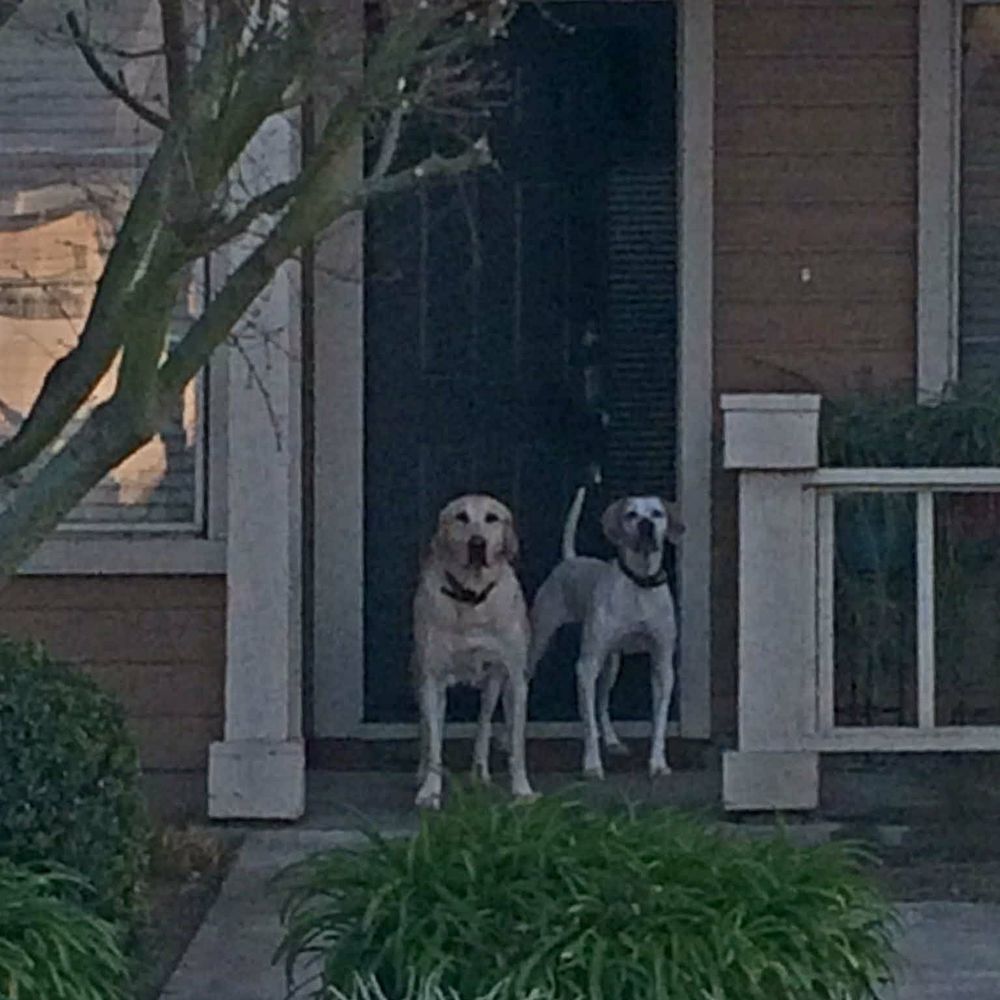 Meet your Posher, Julie